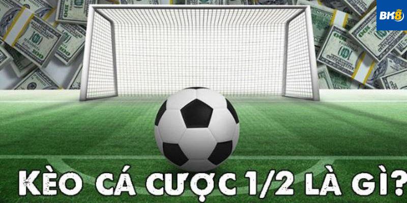 Kèo Chấp 1/2 Là Gì?